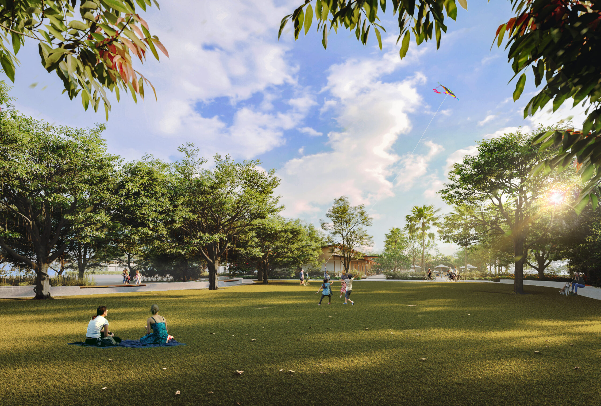 Open lawn and trees at the residence grounds